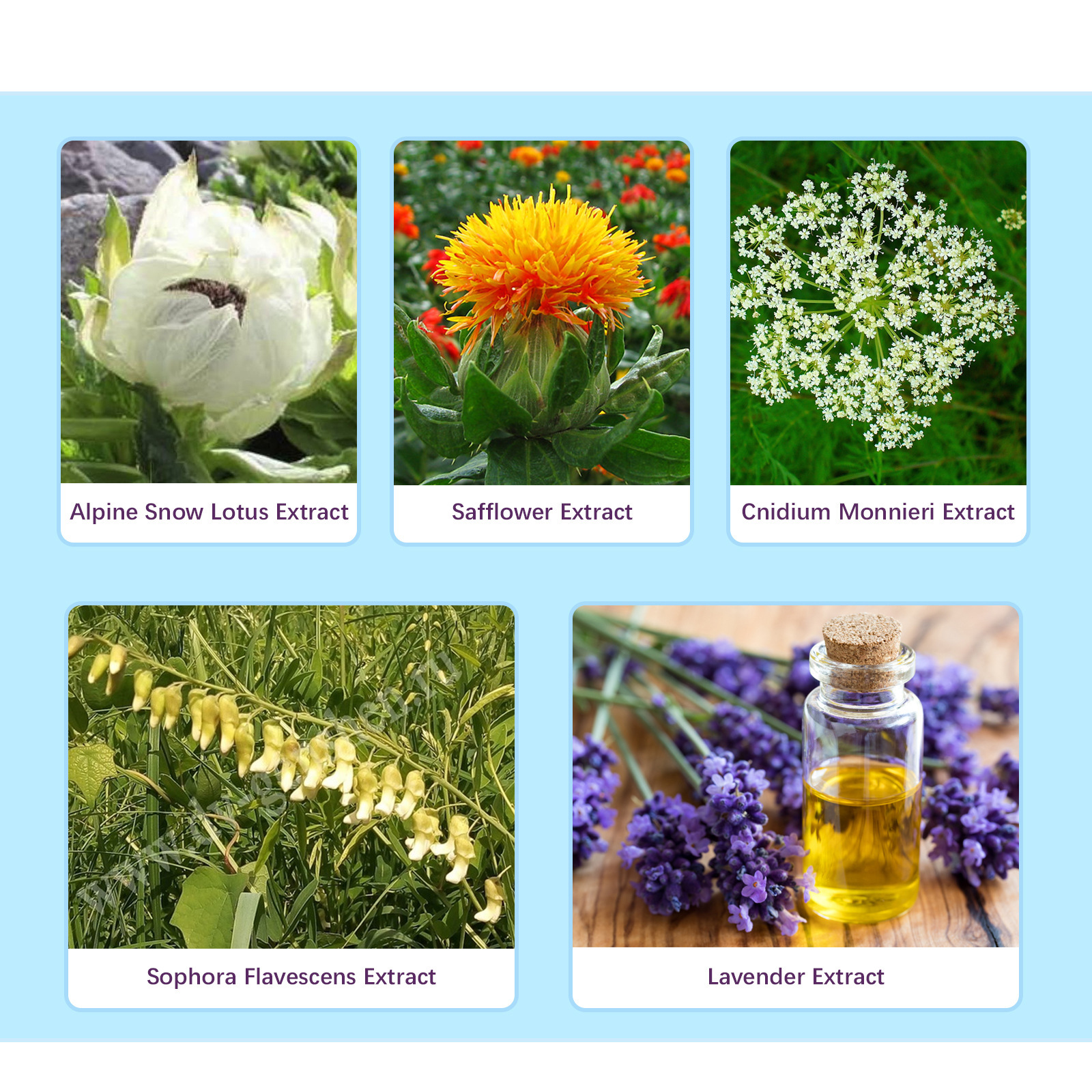 EELHOE Women's Care Kräuterkapseln lindern Juckreiz, reinigen den Geruch, sind mild und nicht reizend_voghion.com