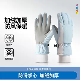 滑雪手套;登山、徒步包;成人手套