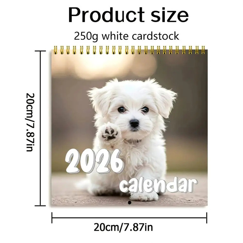 新品跨境多风格日历搞怪系列个性2026年挂历线圈12个月日程规划本|undefined