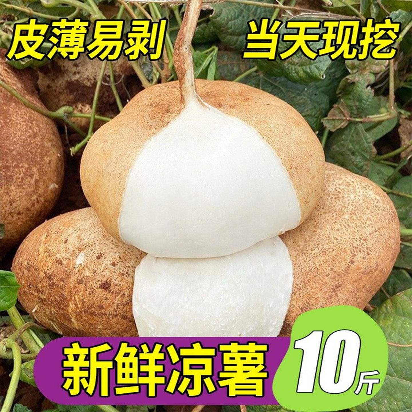 广西凉薯10斤大果新鲜脆甜地瓜豆薯农家红薯白地瓜番薯当季水果