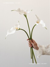 �p���մɻ�ƿ�͏d���J���[���ٻ��R��ɏ���ָ�