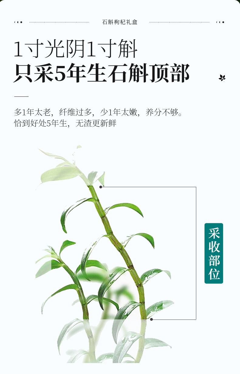 Dendrobium and Red Goji Berry Gift Box 150g Dual Herb Set for Soup and Tea specifications