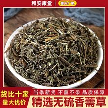 中药材香薷泡水中草药新货香薷草精选天然新鲜晒干香薷茶佩兰泡水