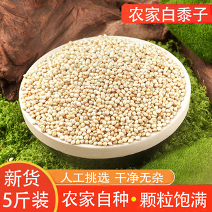 �����Ӵ��w���Ԯa�W�^�B���Z�����r���ԮaM�o�s֧��һ�����l