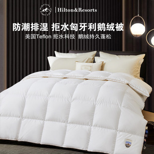Hilton & Resorts Hotel Water Rejecting Down Quilt 95 White Goose Down Quilt Thickened Winter Quilt Two in One