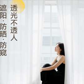 2025新式遮光窗帘高温定型纱帘防晒隔热透光不透人客厅卧室幻影纱