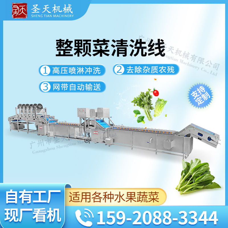 fully automatic Fruits and vegetables clean Route equipment Bitter herbs clean Assembly line Lettuce clean Assembly line