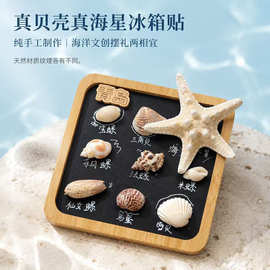 海边文创旋转海星手账磁吸冰箱贴海螺贝壳标本旅游景区纪念品礼物