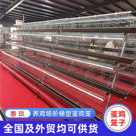 阶梯式蛋鸡养殖笼 冷镀锌蛋鸡笼 单边双边养鸡笼子多层产蛋鸡笼