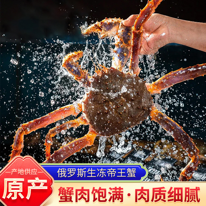 俄罗斯生冻帝王蟹 厂家现货帝王蟹生冻海鲜10斤帝皇蟹大螃蟹批发