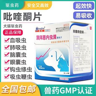 Byne's Internal Deworming Drug for Dogs and Cats, Universal Pet Cat and Dog Internal Deworming Drug, Roundworm, Tapeworm, Hookworm and Deworming Drug