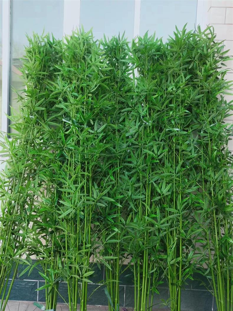 微信图片_20240826124639