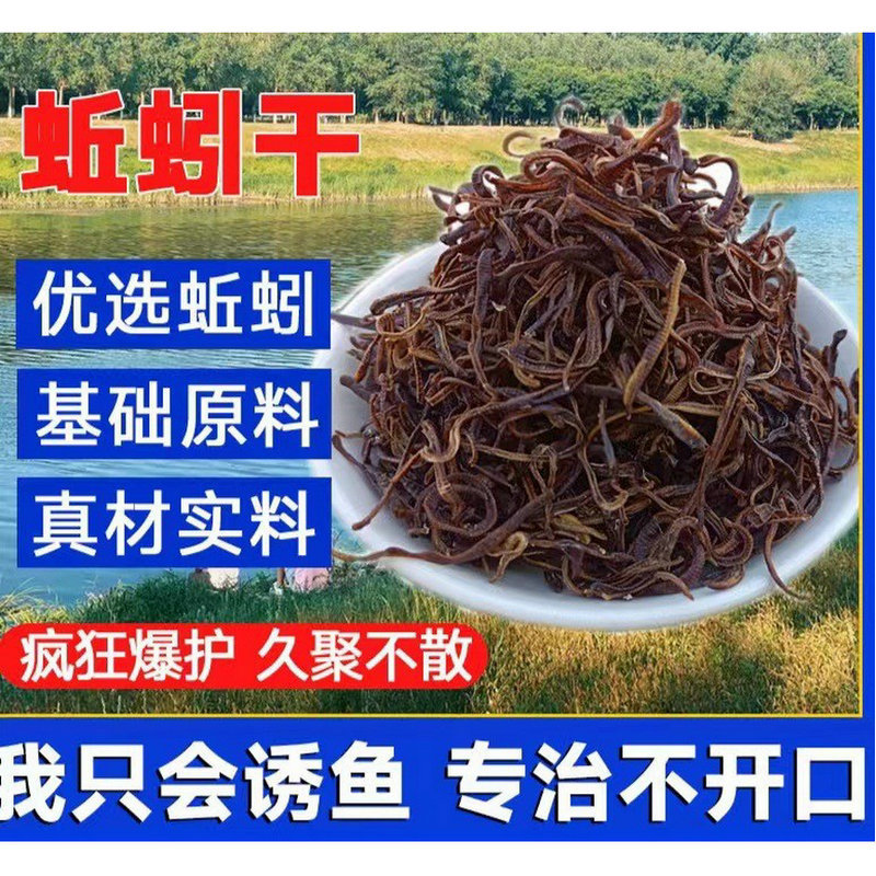 养殖蚯蚓 鱼饵 活饵 鸟食 乌龟食 渔具 钓鱼蚯蚓活体盒装拟饵软饵