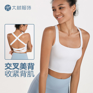 Ningbo Dashu Cross Beauty Back Sports Underwear Women's Shockproof Vest Running Fitness Band Chest Pad Yoga Bra