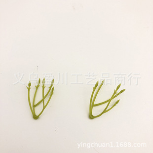 ������滨5�滨�� ��֦�ٻ������廨ֲ������������Ʒ�S�����l