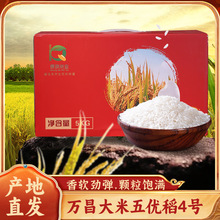 �|���خa�f�����׶Y���L���㾬�׮��������^���ͶY���H�L�Ѵ��l