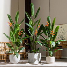 大型天堂鸟仿真植物盆栽室内仿生绿植树鹤望摆件客厅装饰落地假树