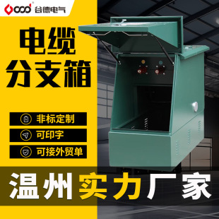High voltage cable branch box 10KV one in one out two out three out branch box DFW-12/630A branch box factory