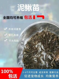 ���N̨�����qС�������~��ˮ���������q�����Ʒ�N�����ص�ˮ���B