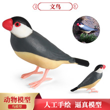 ��ͯ�J֪����w�ݷ����Bģ�����B���W�^���Nɳ�P���@ͥԺ�b[��