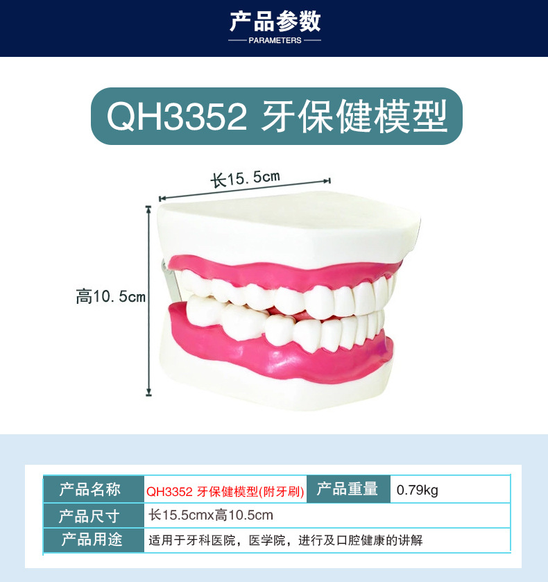 牙保健模型_07.jpg