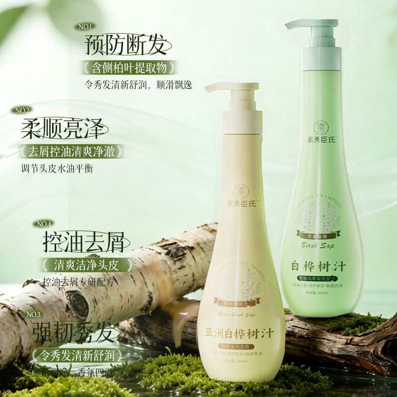 Suxiu Chen jugo de abedul blanco polygonum herbal champú antiprurito anti-caspa suave fragancia controlador de aceite fabricante duradero image 4
