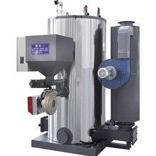 2025年0.5噸生物質蒸汽發生器品牌 1噸顆粒蒸汽發生器廠家