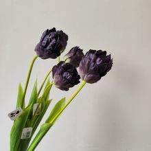 ��Ʒ�|3D�����㻨�ټҾӾƵ�ٻ��b�Y���������zӰ�[�����l