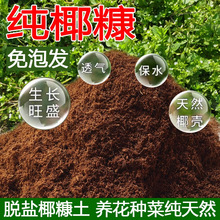 �M��Ó�}Ҭ�����B���N�˾Gֲͨ����̿��Ҭ�u�������I�B�����x�|��