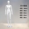 直手左迈腿（小胸款）