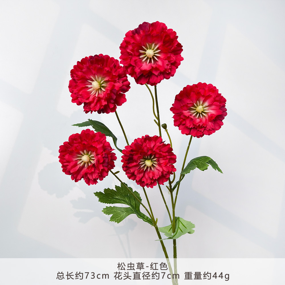 Mj-cordyceps sinensis-red