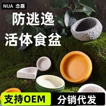 爬宠水盆防逃逸食盆角蛙造景盆寄居蟹泡澡盆陶瓷盆守宫