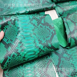 ����Ƥ�ʯ�����ִ������M�ڸ߶�ϡ�Ъ��ؼy���M��Ƥ��Gɫ