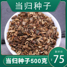 ���w�N���®aɢ�b���|�Į��w�N�ӷNֲ�������紺���＾���N