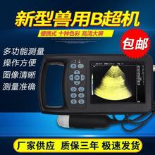 机b高清超机超测孕仪机兽母猪彩色无线超声母猪家用b便携式超声用