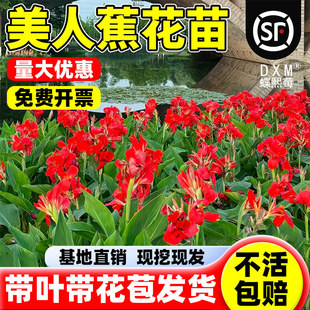 ���˽�������B�N���ˮ������ͥԺ���ܻ���������ļ��_�^��ֲ��