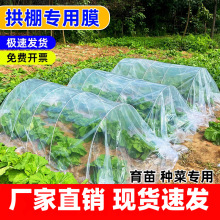 种菜小拱棚膜农用塑料薄膜保温防寒防冻透明塑料布塑料膜遮盖防水