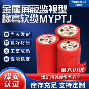 ���� MYPTJú�V�ý������αOҕ�͸߉�����ܛ���|8.7/10KV��ȼ���|