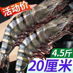 ���r�ڻ��r���r�r����������r���l��ϻ��r�Ź��r���r��S