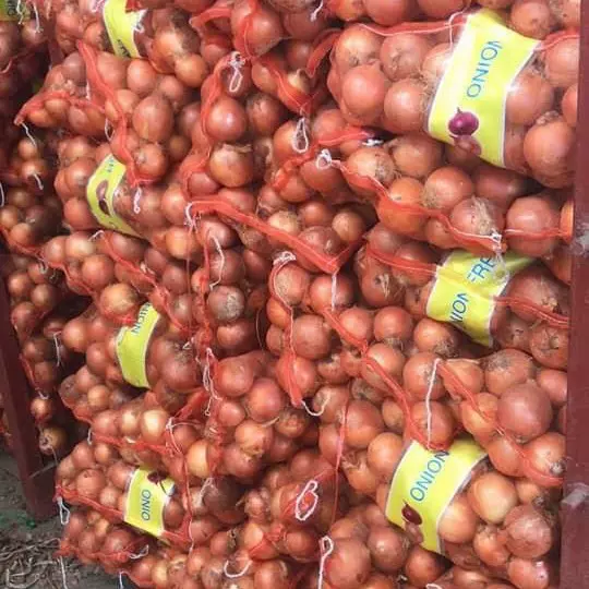 出口保鲜洋葱，冷藏，红皮，黄皮，马来西亚肉厚产地直供冷链直达