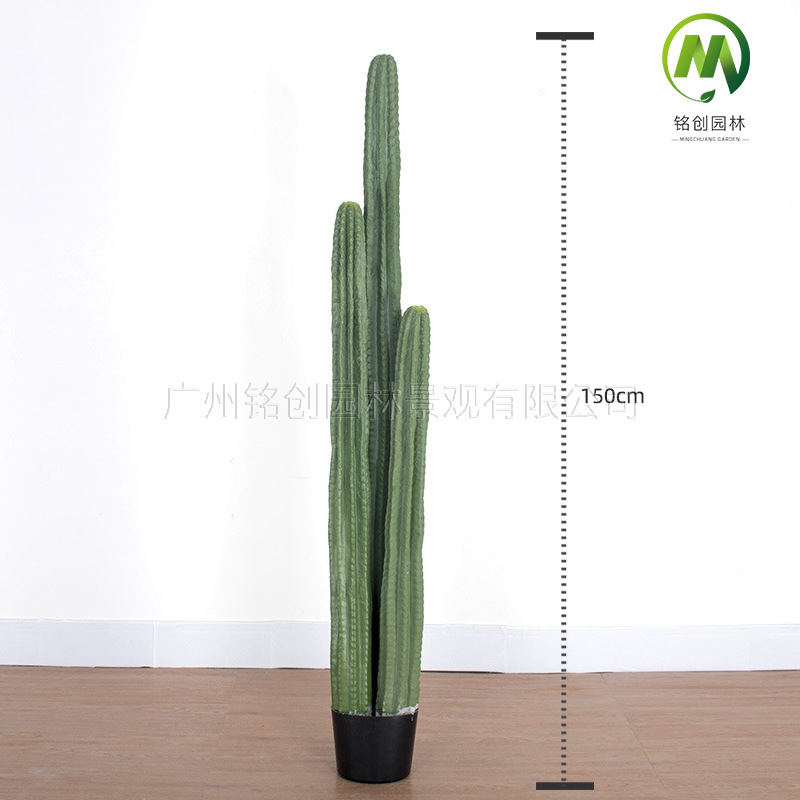 Decoración de paisajismo de plantas falsas en el desierto tropical image 8
