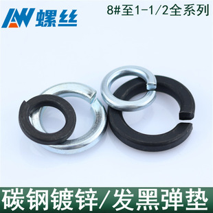 ��\/�l�� Ӣ���Ə��ɉ|Ȧ ������\���| ���ưl�ڏ��|8#10#--1��