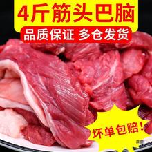 5斤筋头巴脑牛肉牛碎肉冷冻剔骨肉鲜牛肉边角料火锅食材2斤