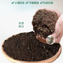 �ɶ����l��S�ʰl���ЙC�ʻ����߲˘�Nֲ����ֲ��ͨ�������ЙC��