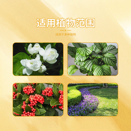 Rapid flowering powder promotes flower bud retention and extends the flowering period nutrient solution increases color and brightness chlorophyll universal fertilizer for flowers and green plants