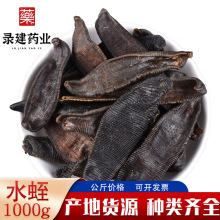 中药材水蛭 蚂蟥 小水蛭 大水蛭 吊干清水柳叶水蛭 100克录建药业