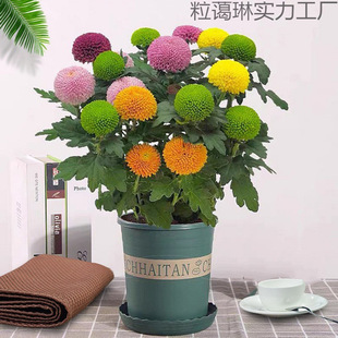 �ļ��_���߲�ɫƹ�Ҿ�����r�����Ԏ������̨�͏d���ܺ��B�׻