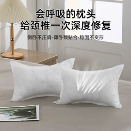 其他枕芯;靠垫/抱枕;乳胶枕