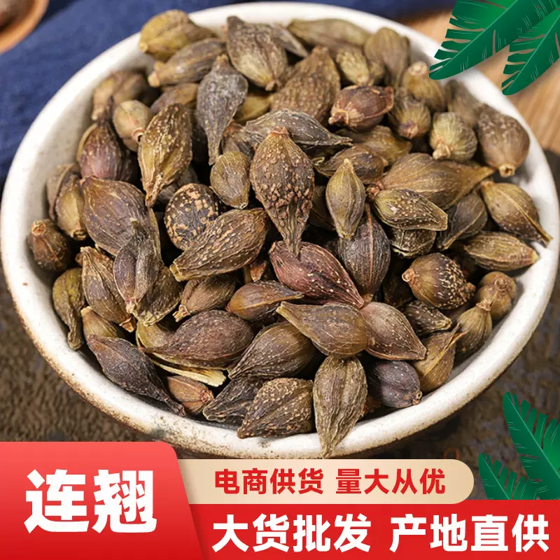 连翘中药材新货青翘 连翘 黄翘老翘连翘粉多种规格厂家批发代发