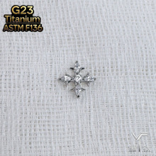 ASTMF-136⁺Ͻ��ʯ�G��ʮ�ּܶ��G23��â�Ǳ�ᔴ�ᔴ����Ʒ�^
